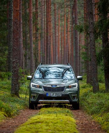 Forester e-BOXER_high-142-199461